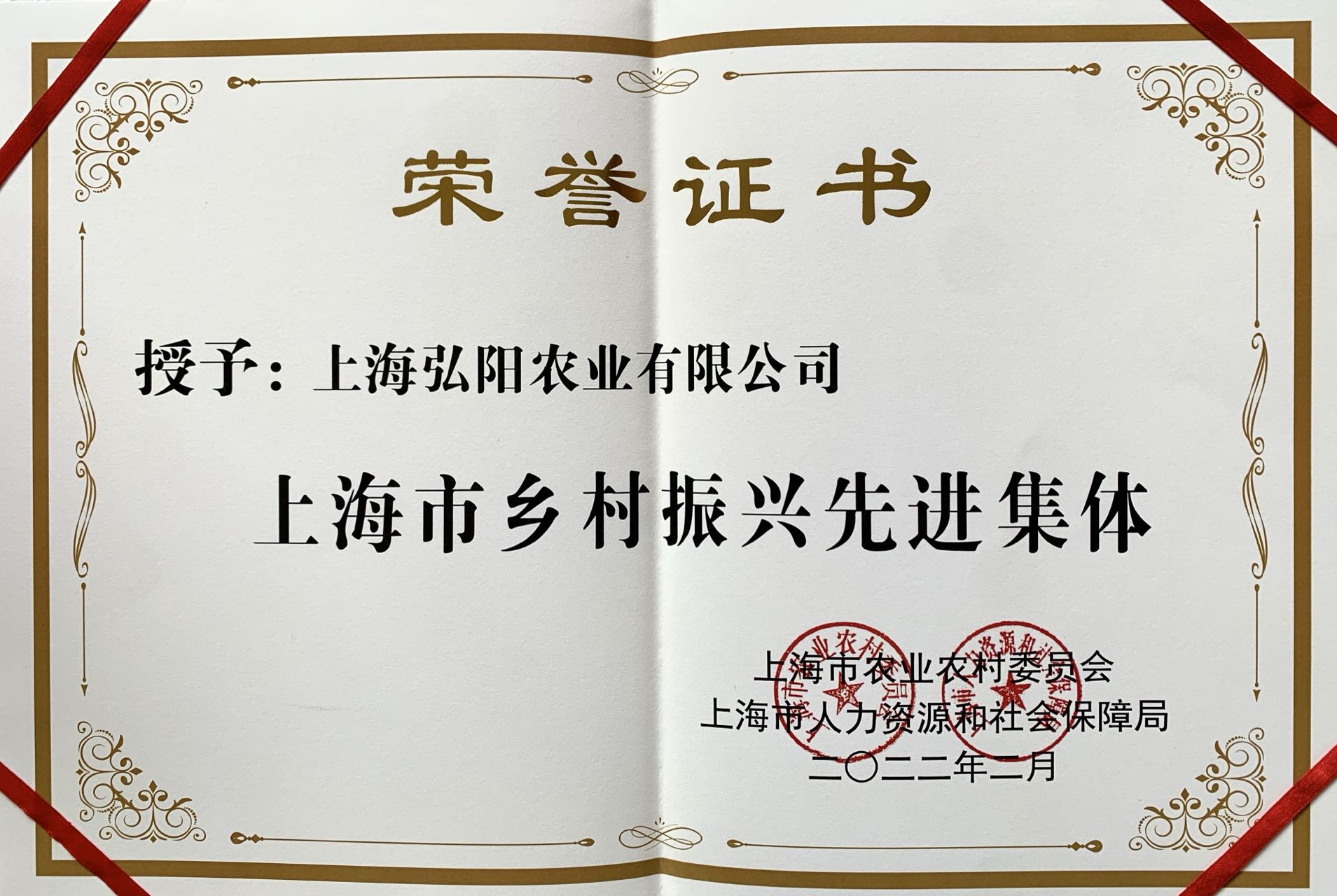 2202鄉(xiāng)村振興先進集體.jpg